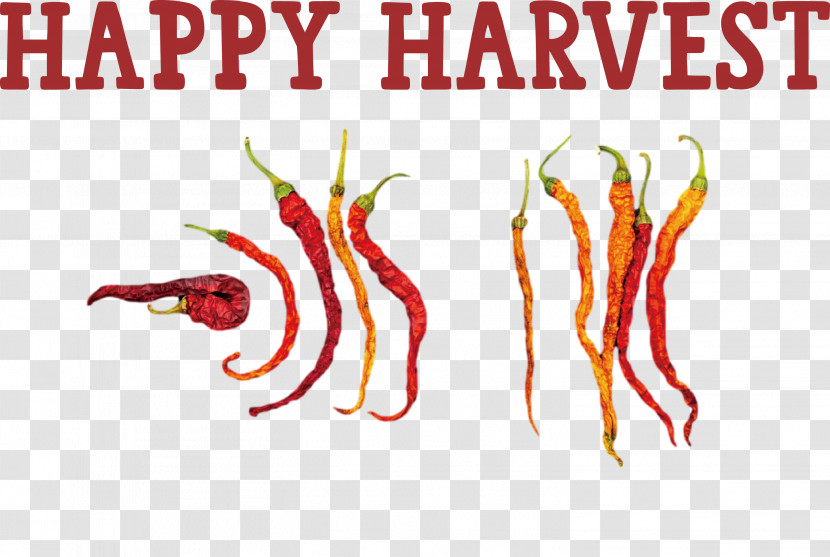 Happy Harvest Harvest Time Transparent PNG