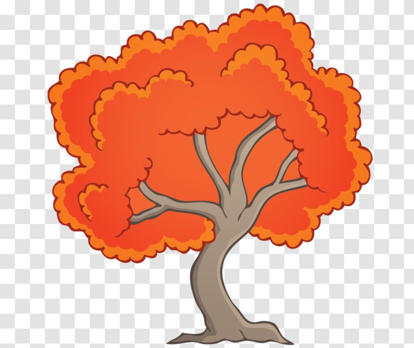 Clip Art Flowering Plant Tree Orange S.A. Plants - Sa - Botany Transparent PNG