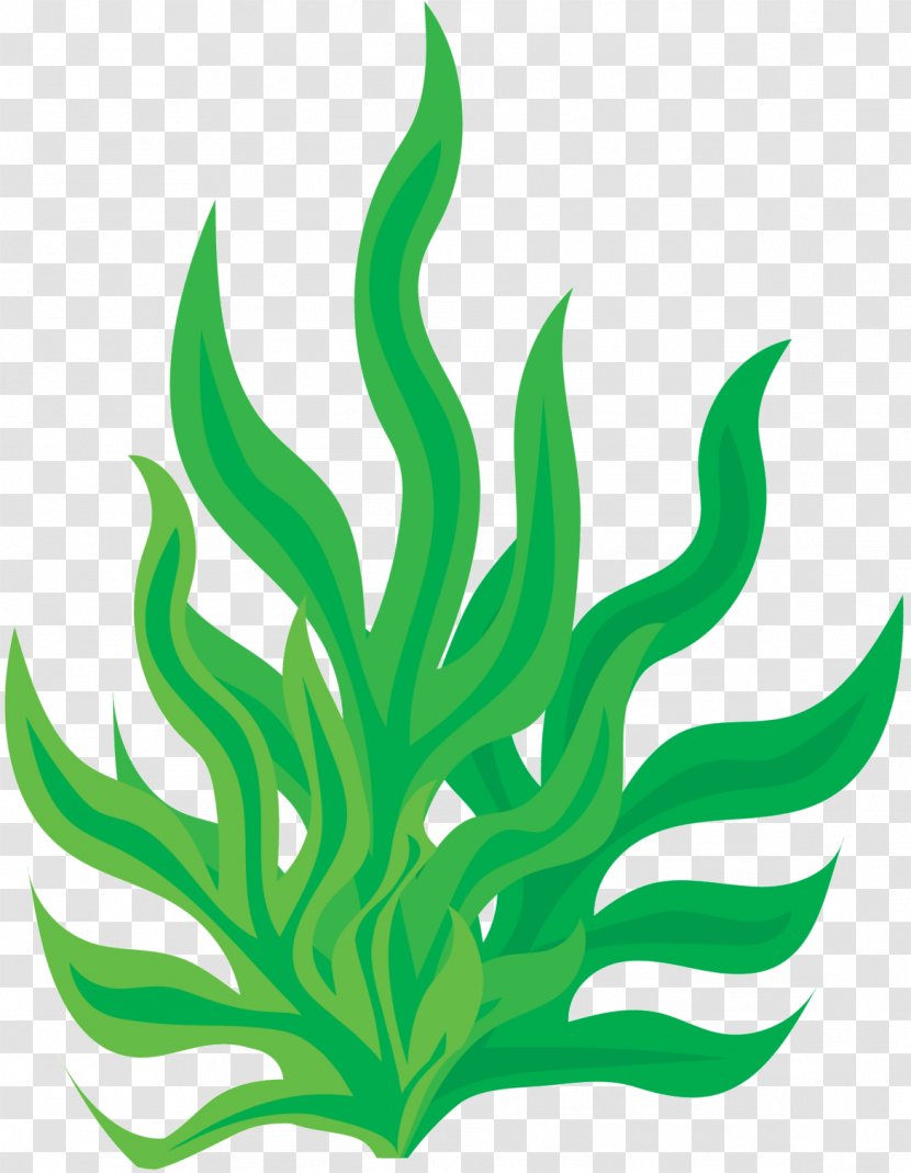 Clip Art Image Download Green - Cartoon - Plant Stem Transparent PNG