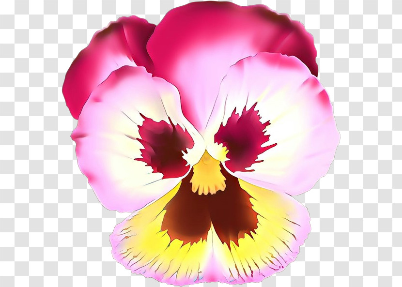 Flower Petal Violet Pansy Plant Transparent PNG