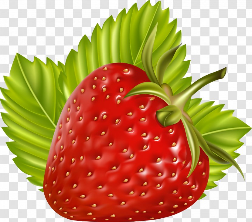 Juice Berry Fruit Clip Art - Chokeberry - Strawberry Transparent PNG