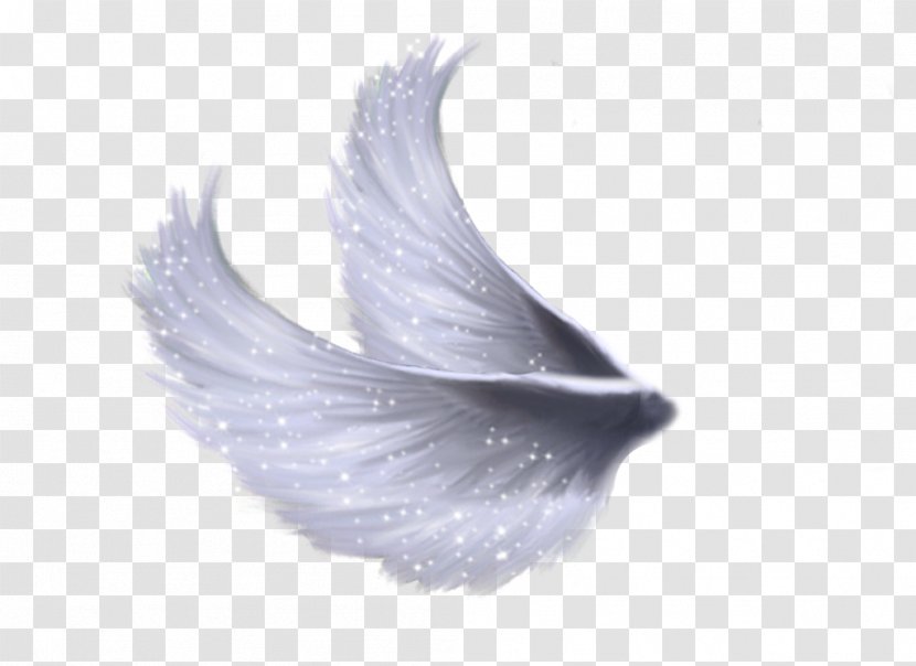Clip Art - Feather - Wings File Transparent PNG