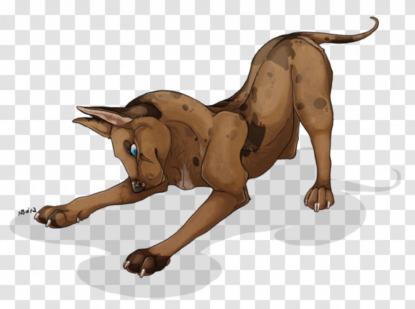 Dog Breed Lion Cat Paw - Like Mammal Transparent PNG