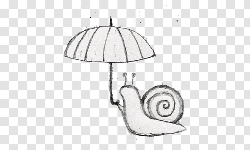 Drawing Black And White Avatar Icon - Monochrome Photography - Snails Transparent PNG