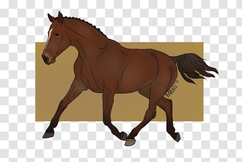 Foal Mane Stallion Mustang Mare - Horse Supplies Transparent PNG
