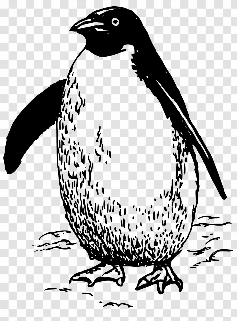 Penguin Bird Clip Art - King - Madagascar Penguins Transparent PNG