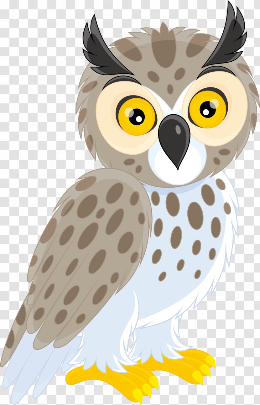 Long-eared Owl Short-eared Clip Art - Great Horned - Vector Transparent PNG