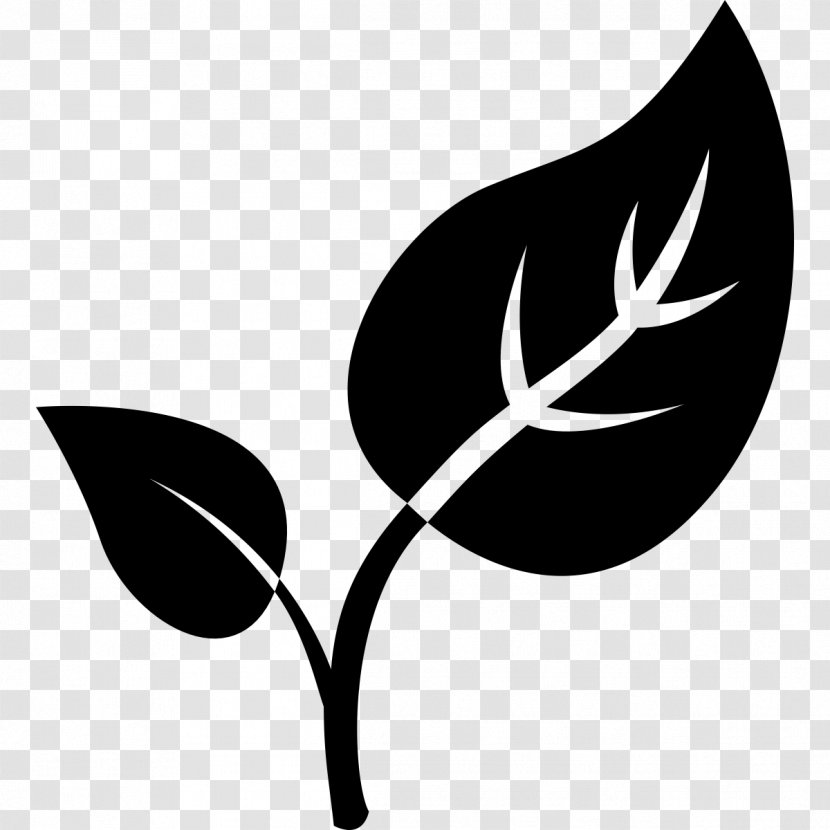 Leaf - Black And White - Wing Transparent PNG
