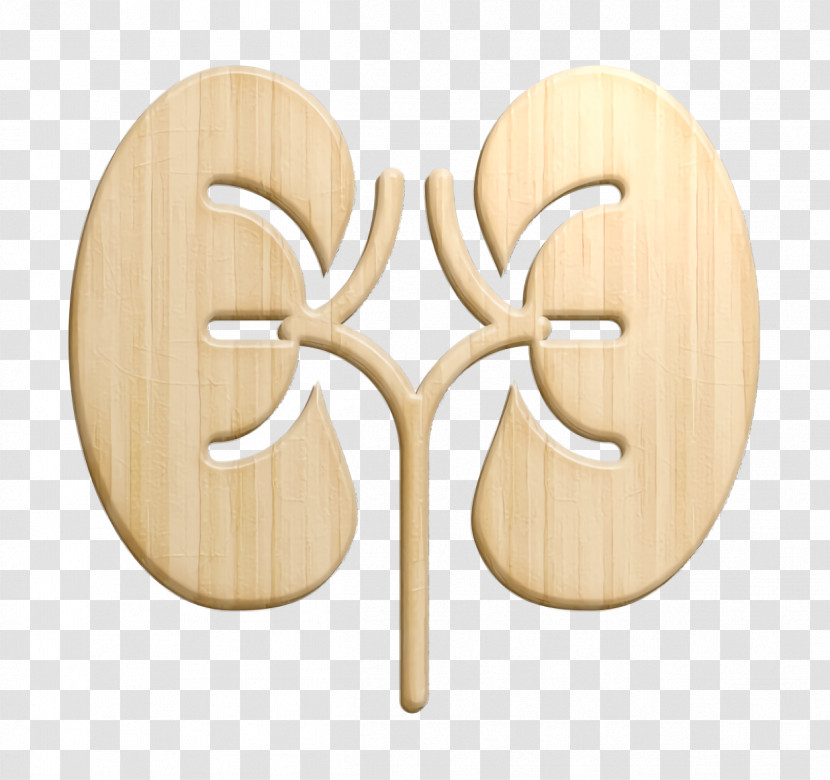 Kidney Icon Medical Icon Transparent PNG