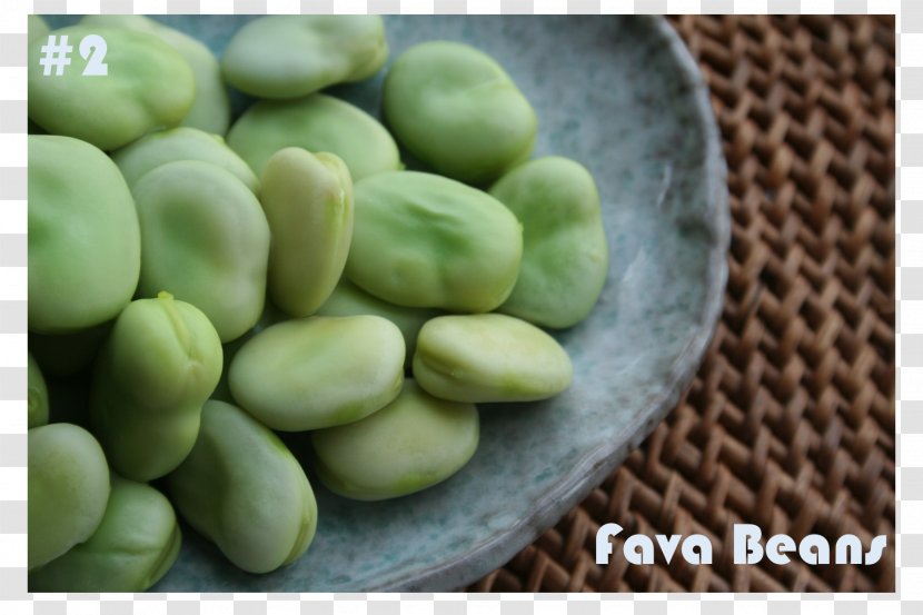 Broad Bean Food Balsamic Vinegar Syrian Cuisine Gluten-free Diet - Health Transparent PNG