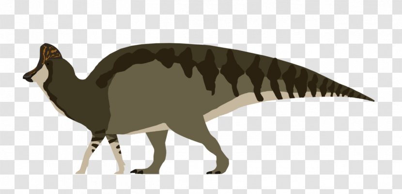 Magnapaulia Reptile Maiasaura Corythosaurus Shantungosaurus - Dinosaur Transparent PNG
