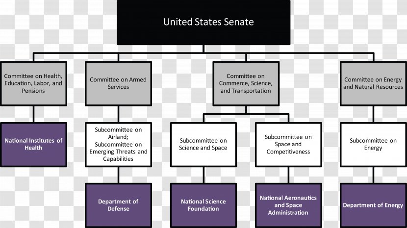 Organization Flowchart Senate Committee United States Congress - Law Transparent PNG
