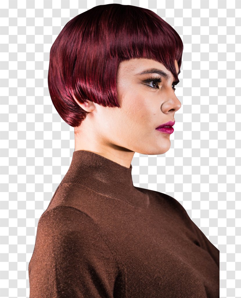 Beauty Parlour Hairstyle Cosmetics Brown Hair - Chin Transparent PNG