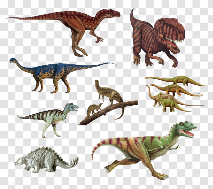 Tyrannosaurus Velociraptor Dinosaur Extinction - Fauna - All Kinds Of Dinosaurs Transparent PNG