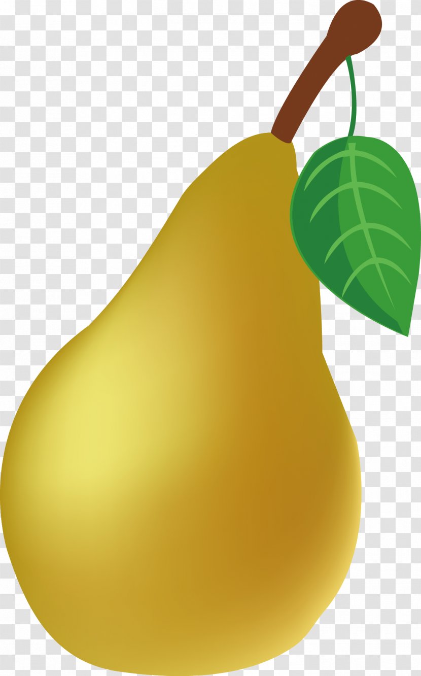 European Pear Fruit Auglis - Vector Transparent PNG