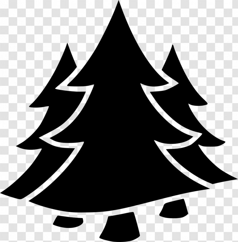 Fir Spruce Industry - Christmas Tree Transparent PNG