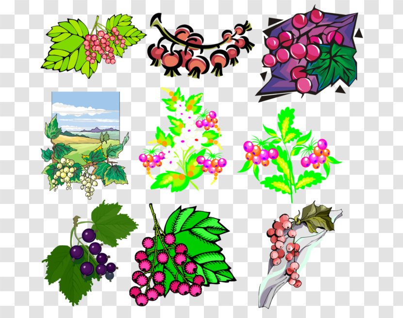 Grape Floral Design Illustration Clip Art Cut Flowers Transparent PNG