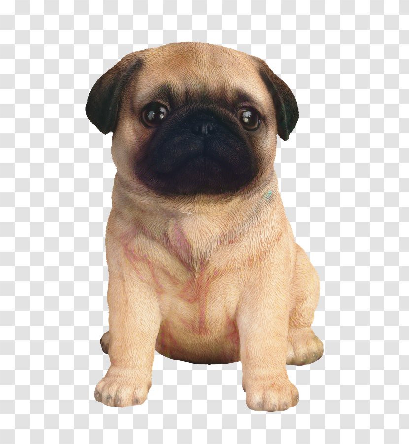 Pug Puppy Dog Breed Companion Toy - Snout - Vertebrate Transparent PNG