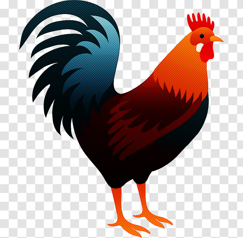 Bird Chicken Rooster Beak Comb Transparent PNG