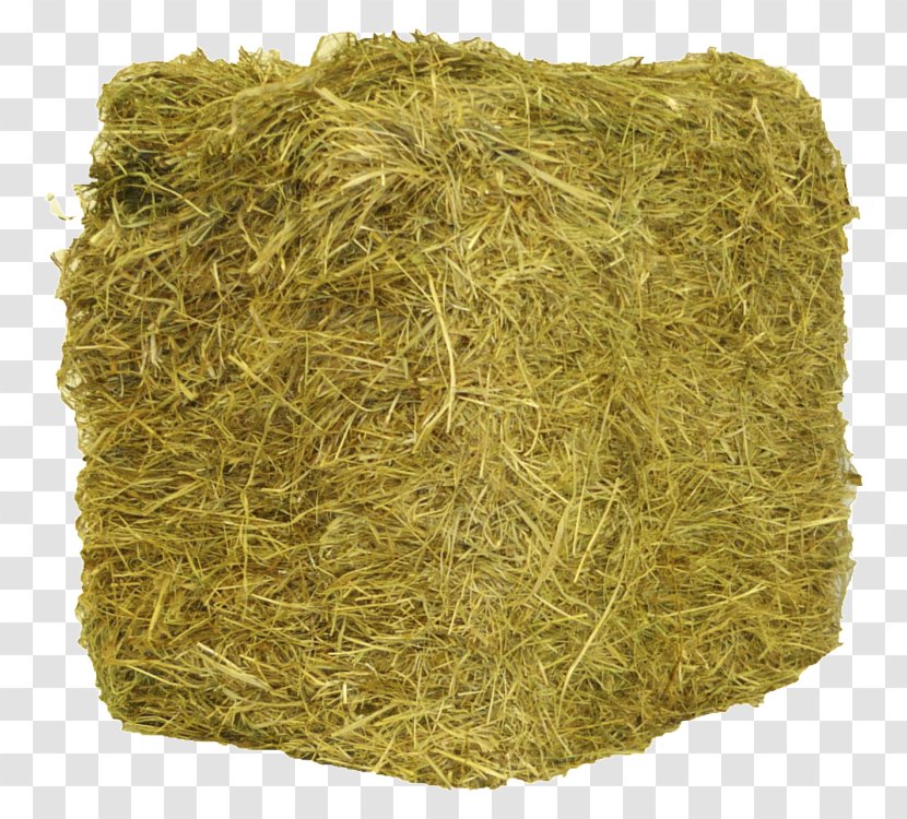 Hay Straw Timothy-grass Baler Farm - Pet - Barn Transparent PNG