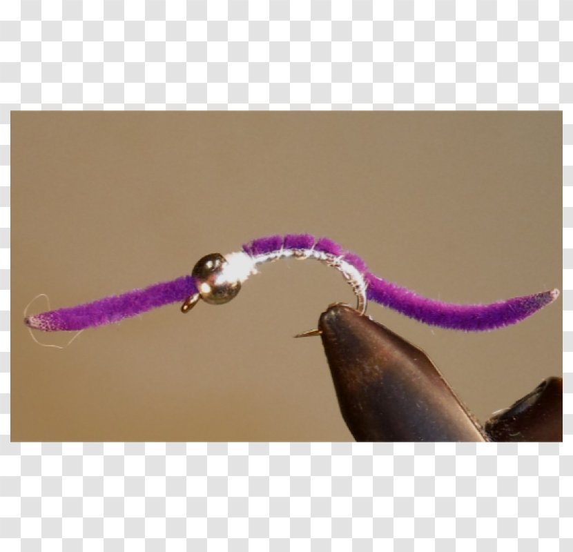 Insect - Purple Transparent PNG