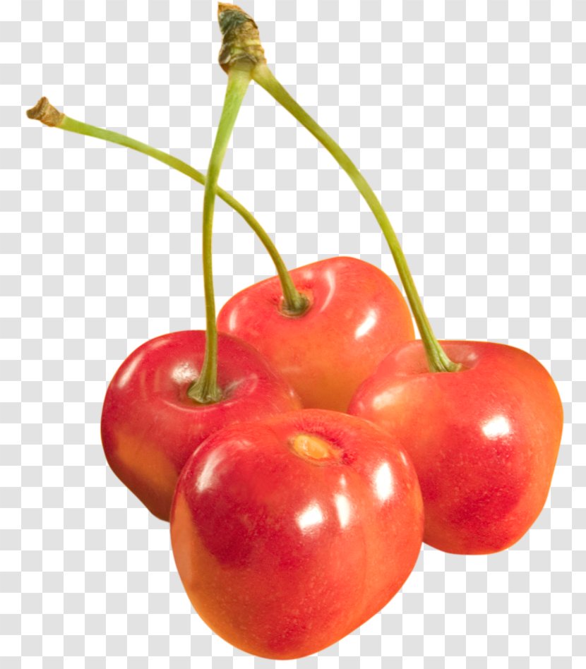 Barbados Cherry Fruit - Apple Transparent PNG