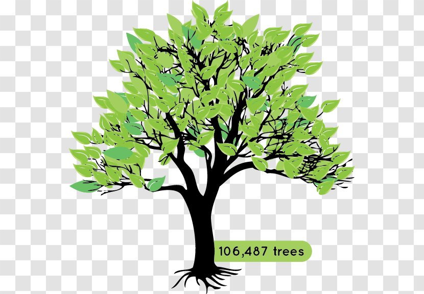 Branch Tree Silhouette - Plant Transparent PNG