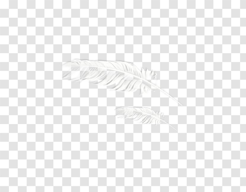 Black And White Download - Feather Pattern Transparent PNG