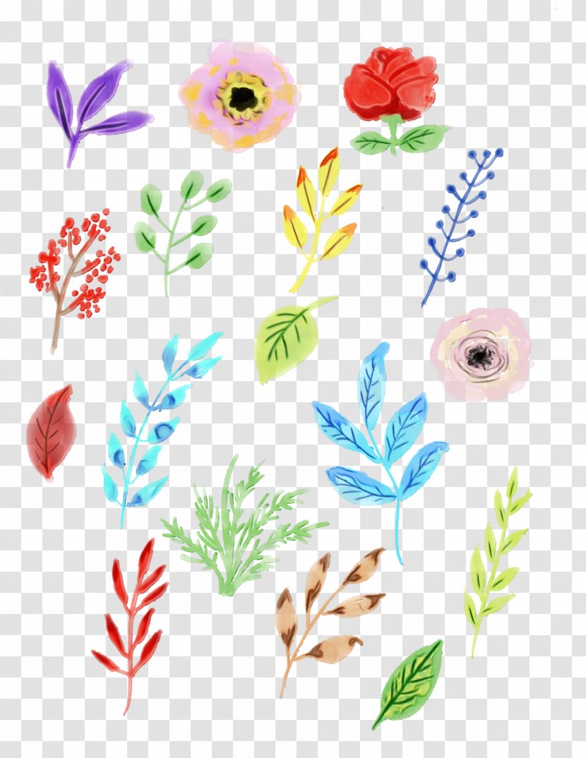 Watercolor Painting Floral Design Illustration Image Drawing - Pedicel - Wildflower Transparent PNG