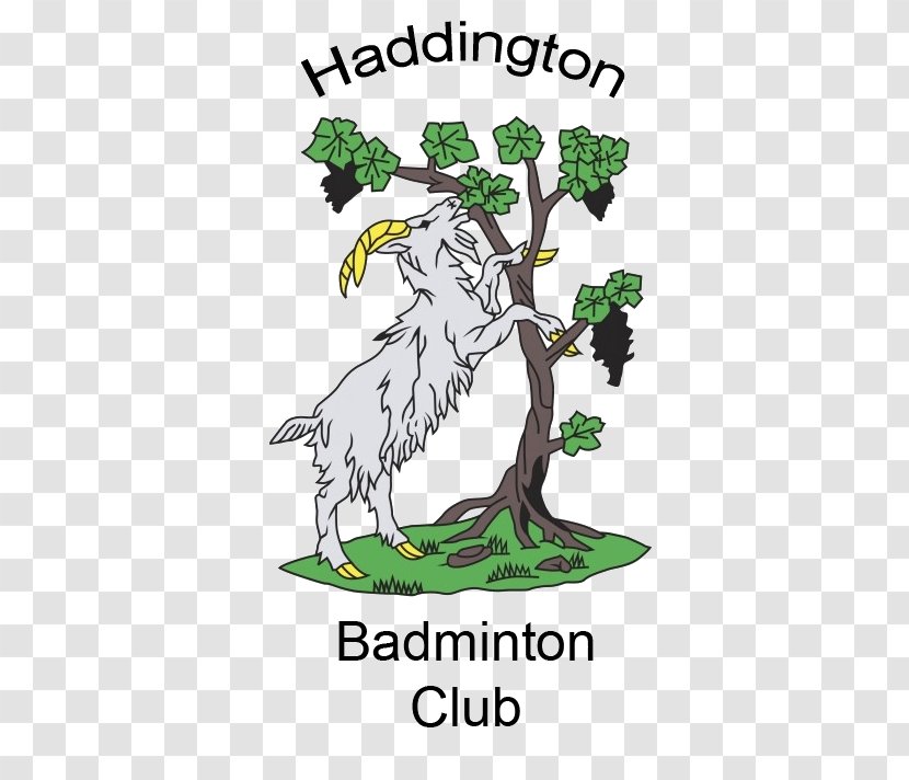 Haddington RFC Leisure Time Sports Rugby Union Beak - Flora - Ifwe Transparent PNG