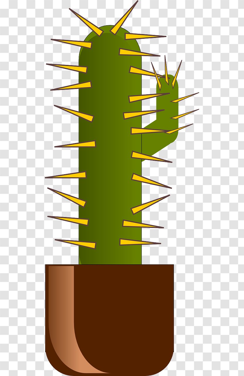 Cactaceae Thorns, Spines, And Prickles Clip Art - Succulent Plant - Green Cactus Transparent PNG