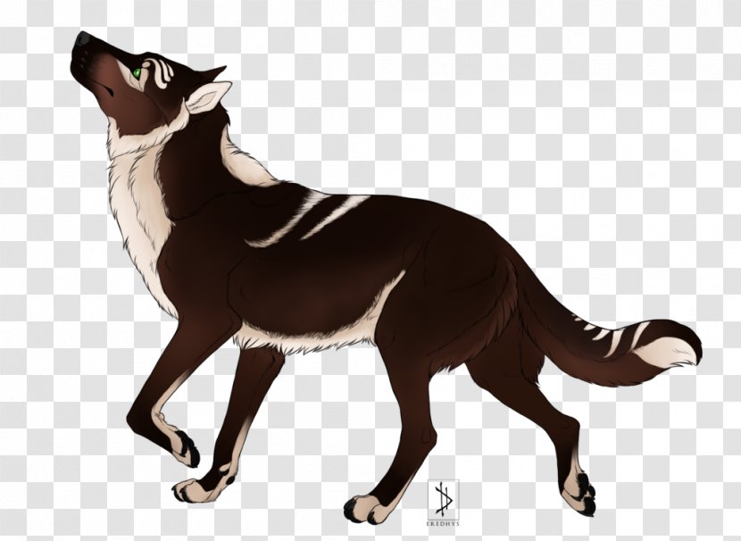 Whiskers Dog Breed German Shepherd Cat - Audition Transparent PNG