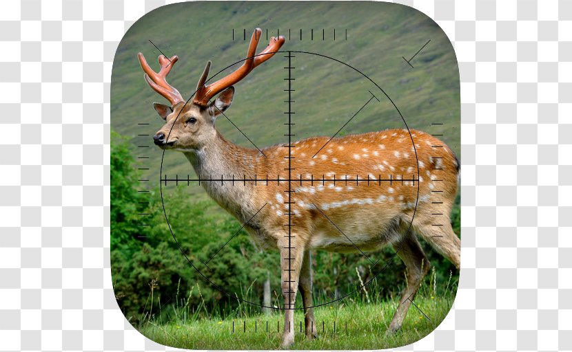 Deer Sniper: Hunting Game Hunter 3D - Heart Transparent PNG
