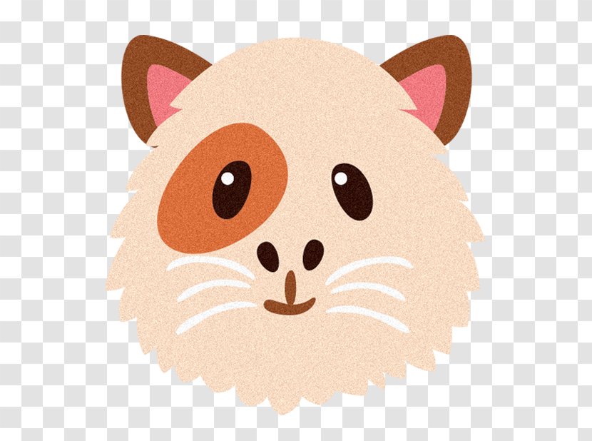 Whiskers Cat Dog Snout Transparent PNG