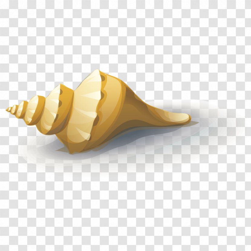 Yellow Sea - Straw - Ocean Pale Snail Transparent PNG