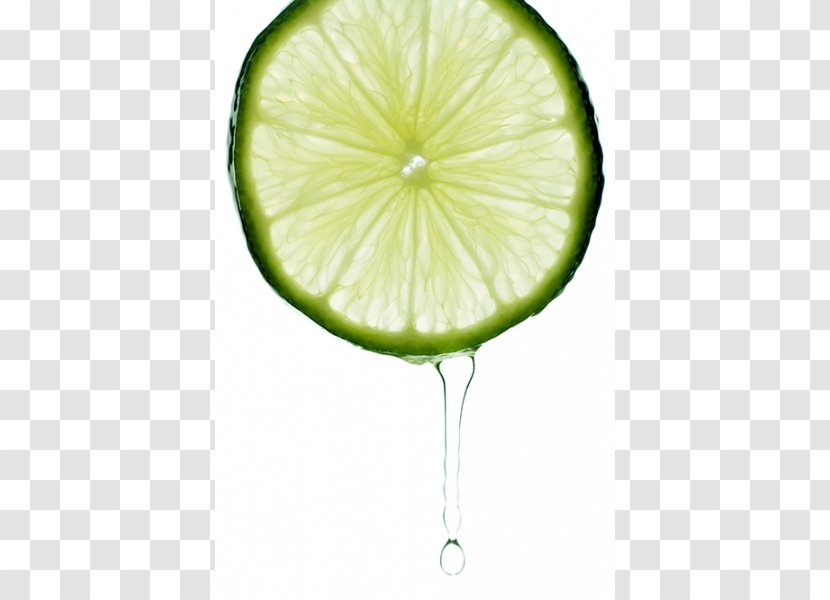Lemon-lime Drink Lemonade Key Lime - Fruit Transparent PNG
