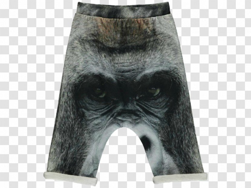 Pants Hoodie Clothing Shorts Sagging - Dress Transparent PNG