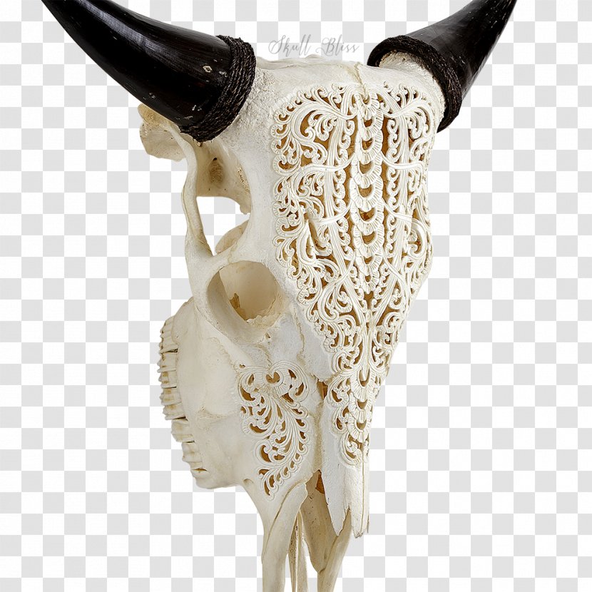 Cattle Skull XL Horns Animal - Balinese Art - Buffalo Transparent PNG