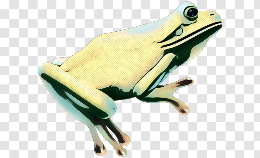 Tree Frog True Product Design Technology - Amphibian Transparent PNG