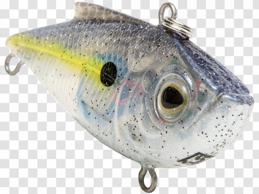 Sardine Spoon Lure Oily Fish Milkfish Transparent PNG