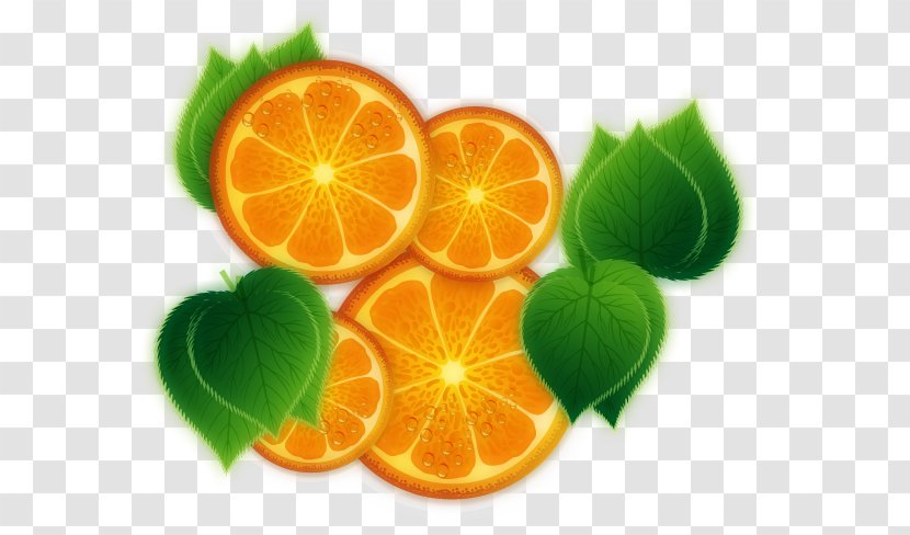 Mandarin Orange Lemon Vegetarian Cuisine Rangpur Lime - Valencia - Frescos Transparent PNG