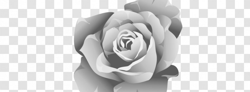 Free Rose Clip Art - Shoulder Transparent PNG