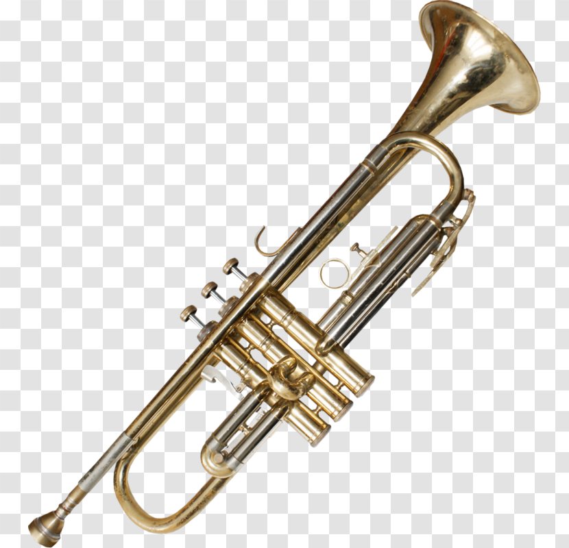 Trumpet Musical Instrument - Tree - Trombone Transparent PNG