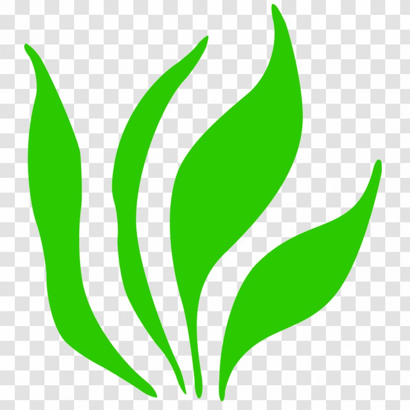 Grass Clip Art - Herbaceous Plant Transparent PNG