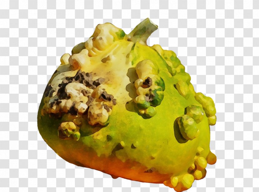 Food Dish Cuisine Plant Horned Melon - Watercolor - Ingredient Transparent PNG