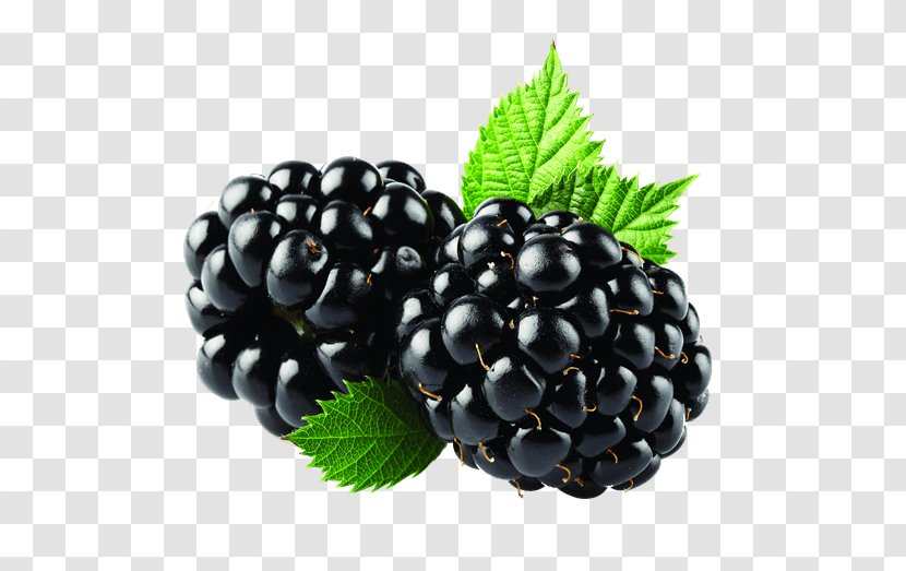 Blackberry Mobile Phones Clip Art - Natural Foods - Berry Fruit Transparent PNG