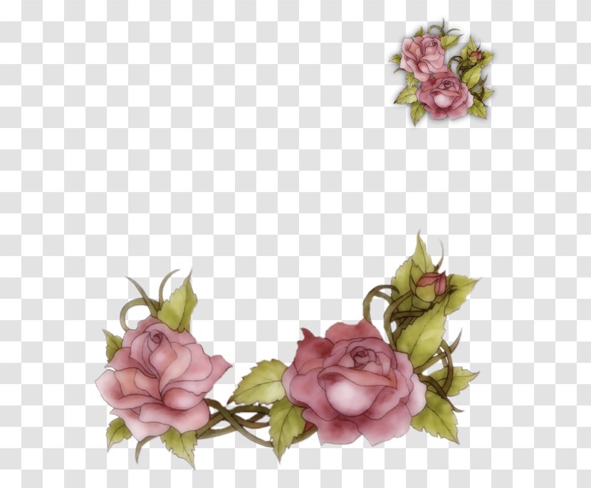Garden Roses Flower Bible Floral Design Transparent PNG