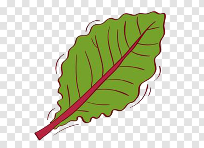 Leaf Deciduous Clip Art - Google Images - Leaf,Fallen Leaves Transparent PNG