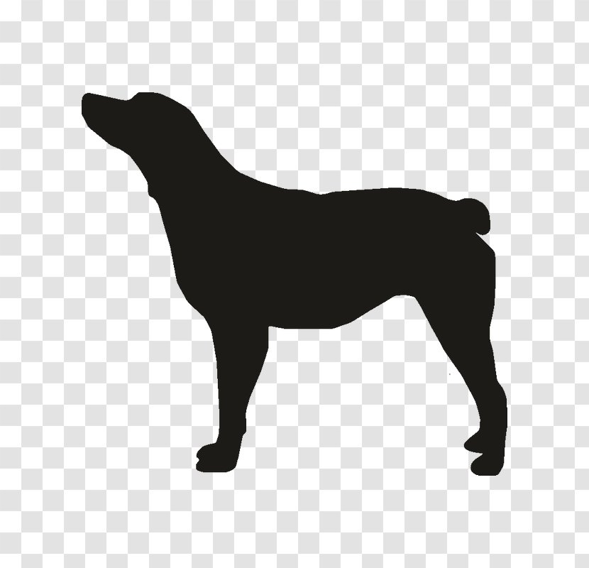 Black And Tan Coonhound Draft Horse Dog Breed Mule Transparent PNG