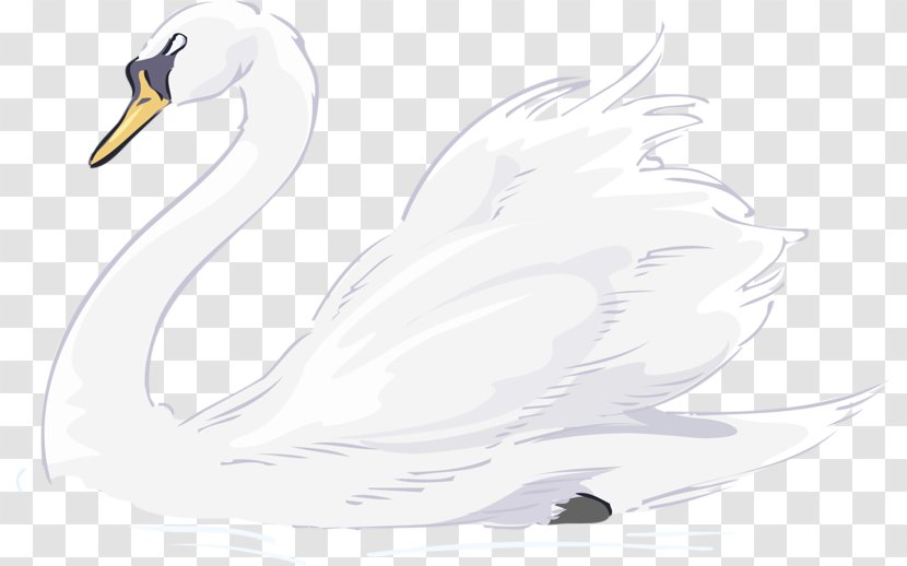 Black Swan Trumpeter Tundra Clip Art - Water Bird - Cartoon Goose Transparent PNG